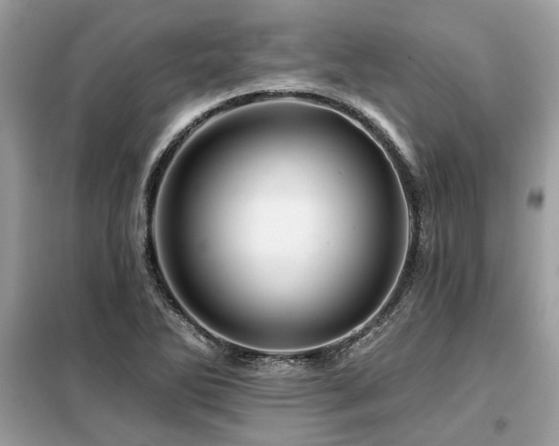 X0000099421270200805091234
