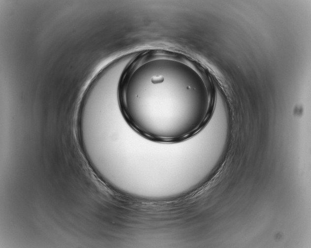 X0000099421272200805091234