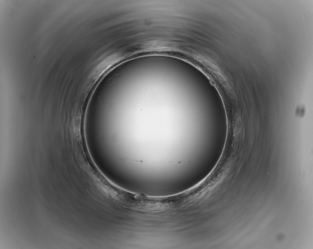 X0000099421273200805091234