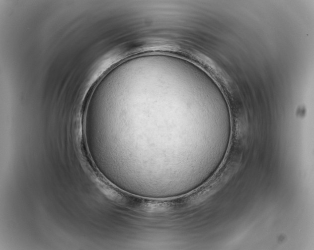 X0000099421274200805091234