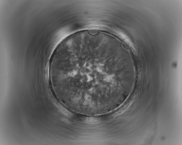 X0000099421275200805091234