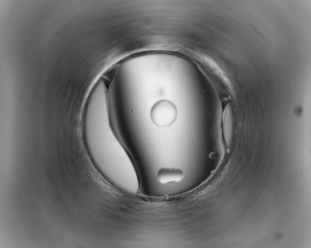 X0000099421276200805091234