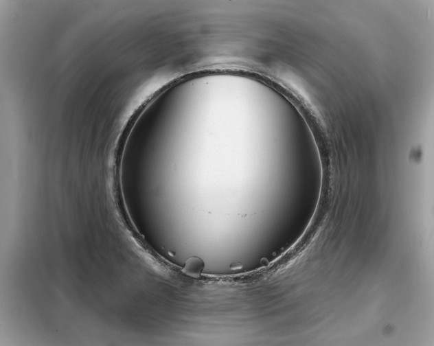X0000099421277200805091234