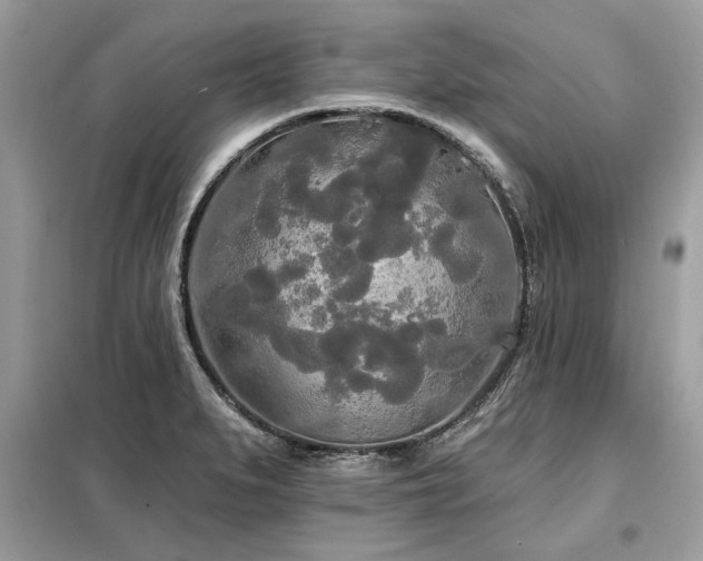 X0000099421279200805091234