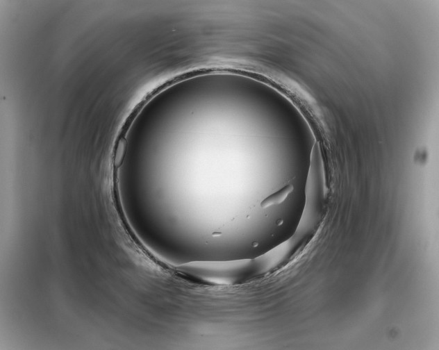 X0000099421280200805091234