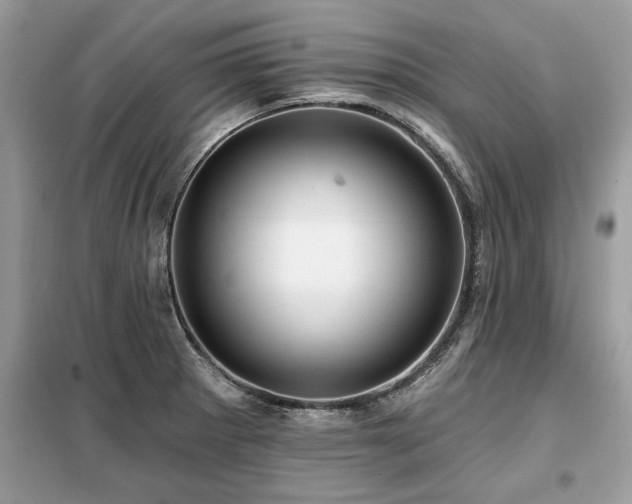 X0000099421281200805091234