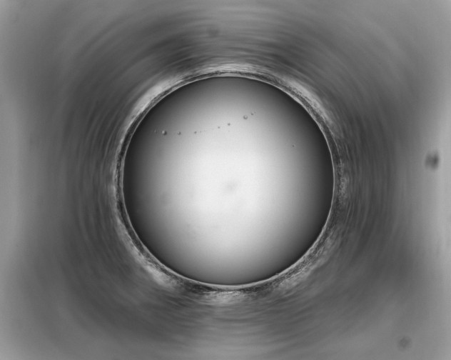 X0000099421282200805091234