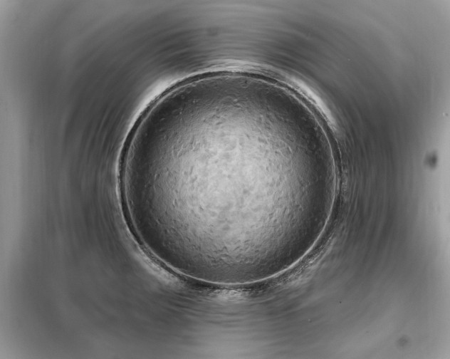 X0000099421283200805091234