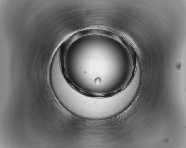 X0000099421284200805091234