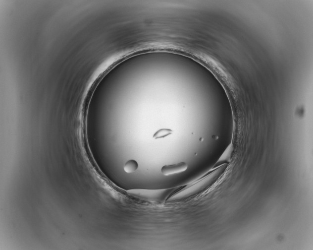 X0000099421286200805091234