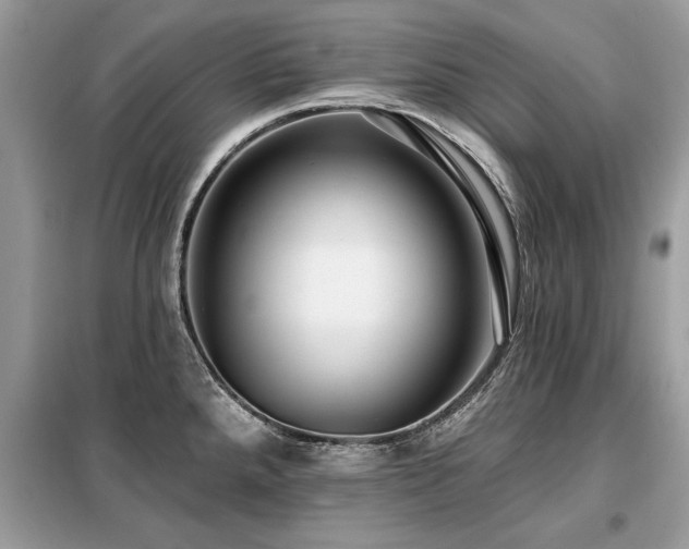 X0000099421288200805091234