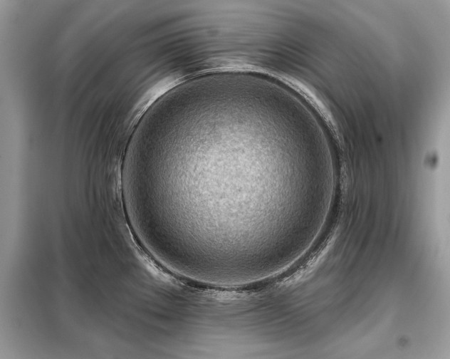 X0000099421289200805091234