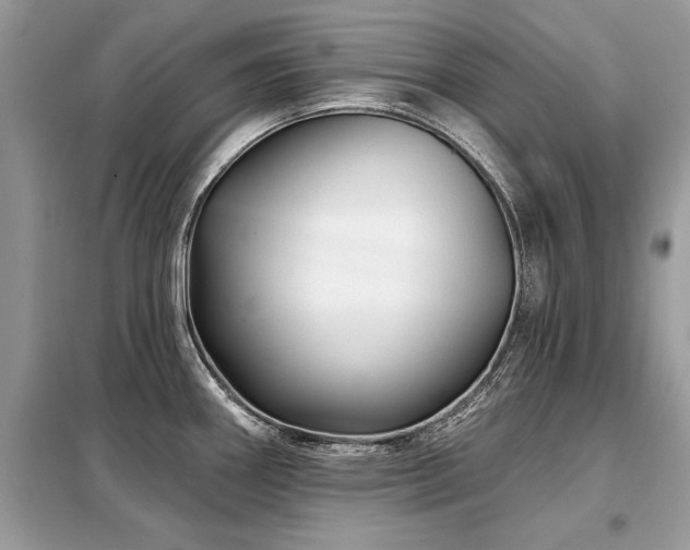 X0000099421290200805091234