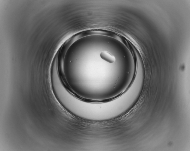X0000099421291200805091234