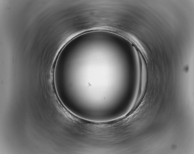 X0000099421292200805091234