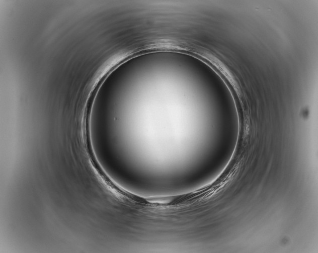 X0000099421293200805091234