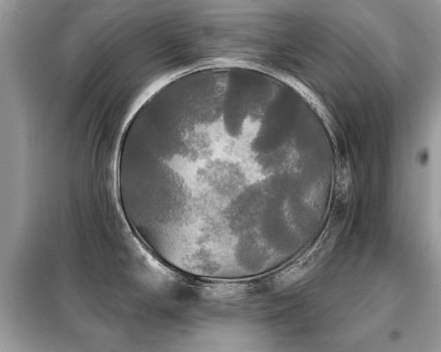 X0000099421294200805091234