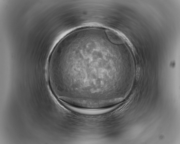 X0000099421295200805091234