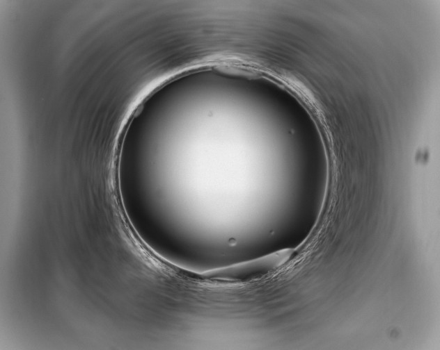 X0000099421296200805091234