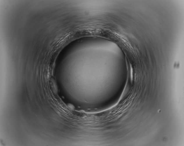 X0000099421298200805091233