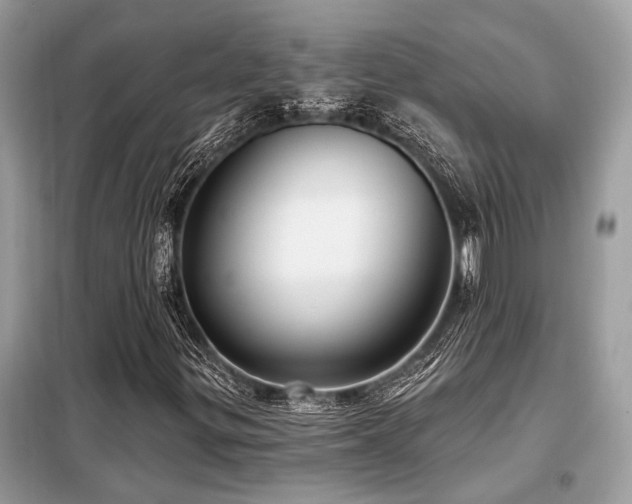 X0000099421299200805091233