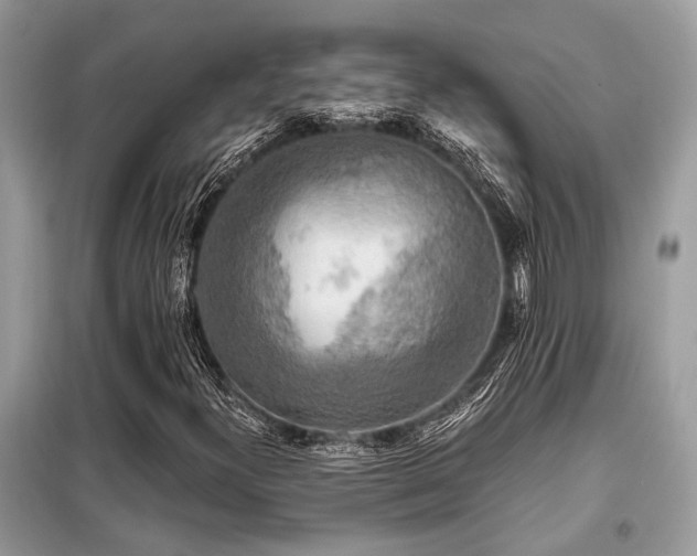 X0000099421300200805091233