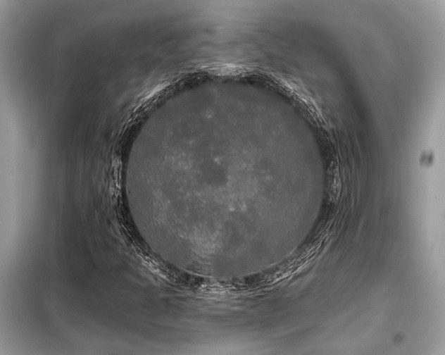 X0000099421301200805091233