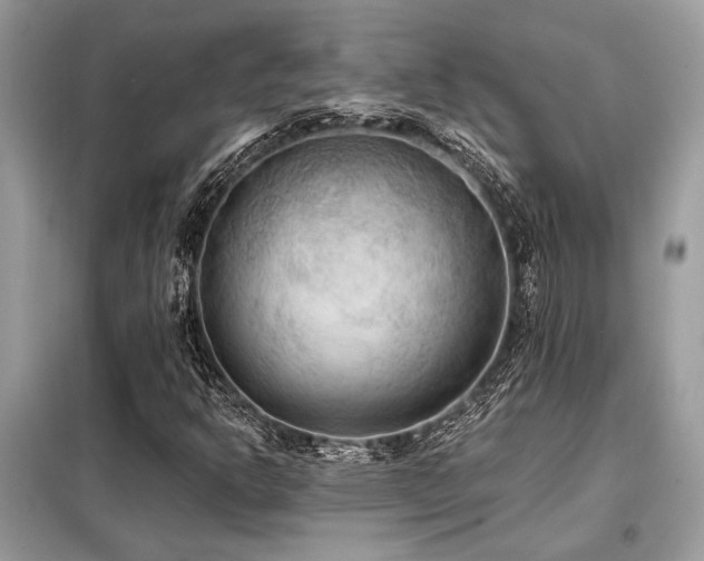 X0000099421302200805091233