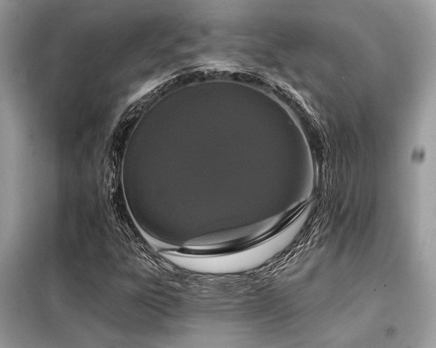 X0000099421303200805091233