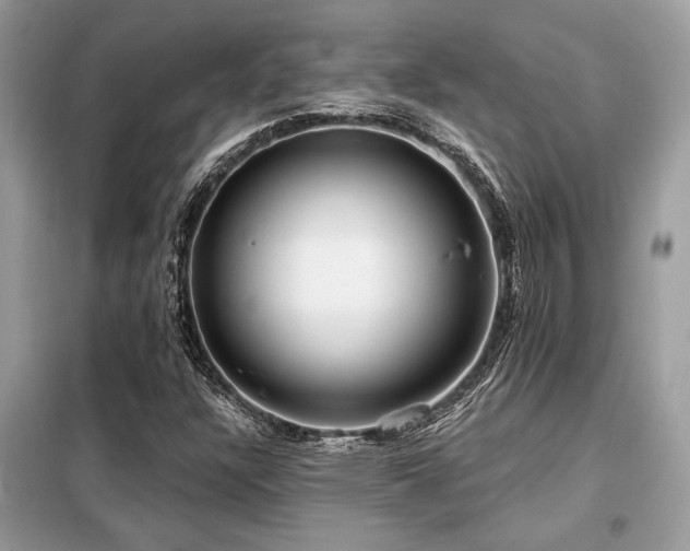 X0000099421304200805091233
