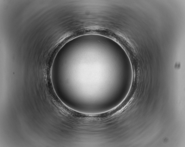 X0000099421305200805091233