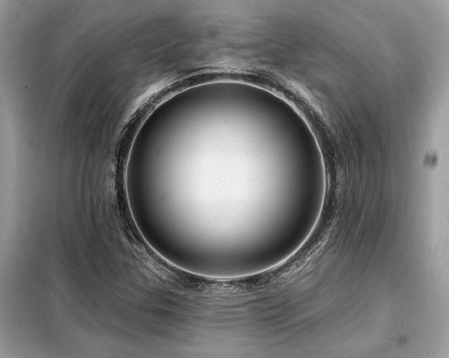 X0000099421307200805091233