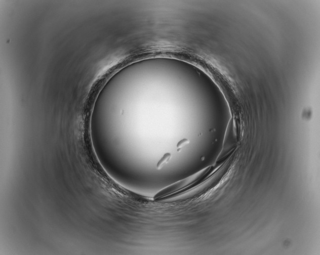 X0000099421309200805091233