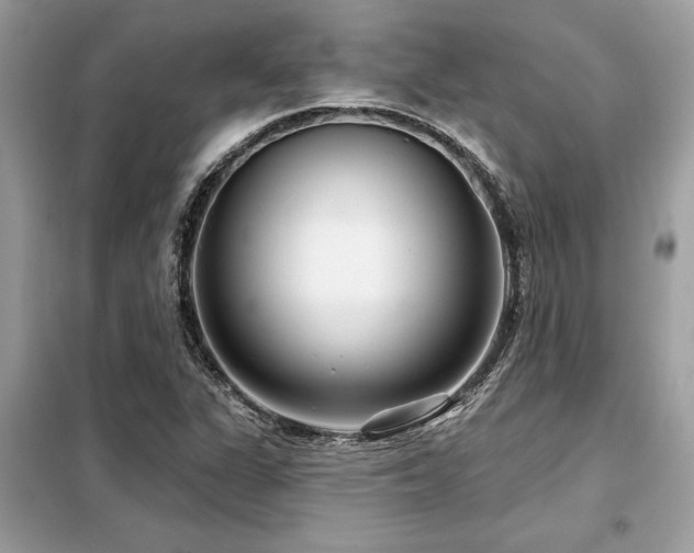 X0000099421311200805091233