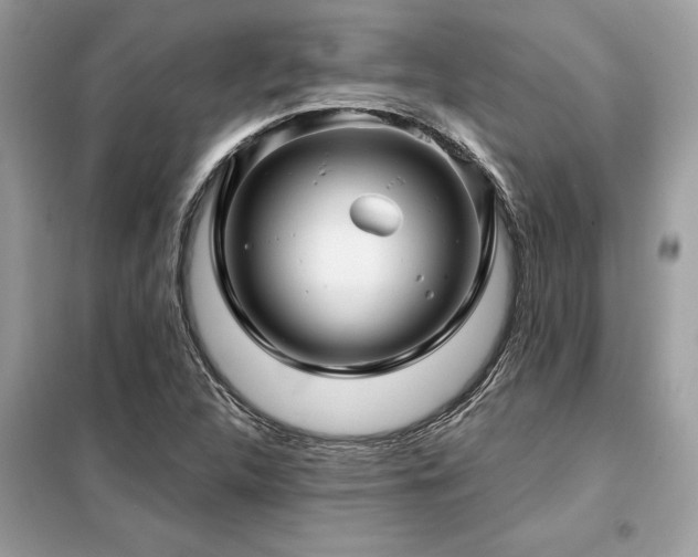 X0000099421312200805091233