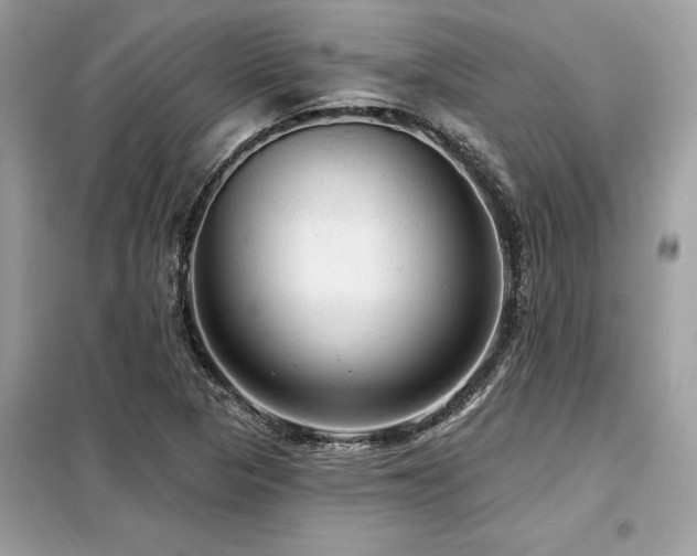 X0000099421313200805091233