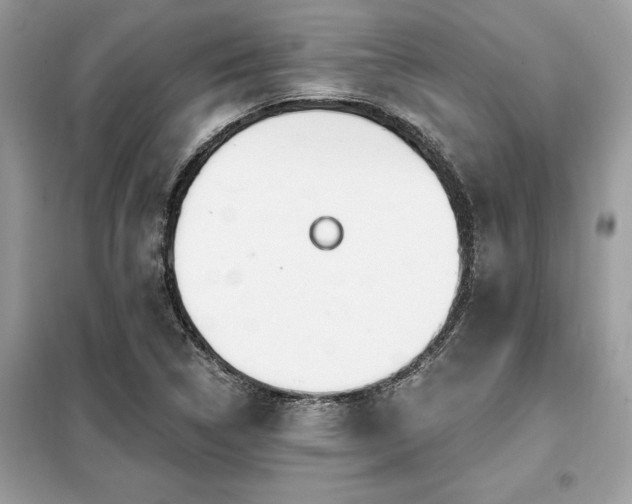 X0000099421314200805091233