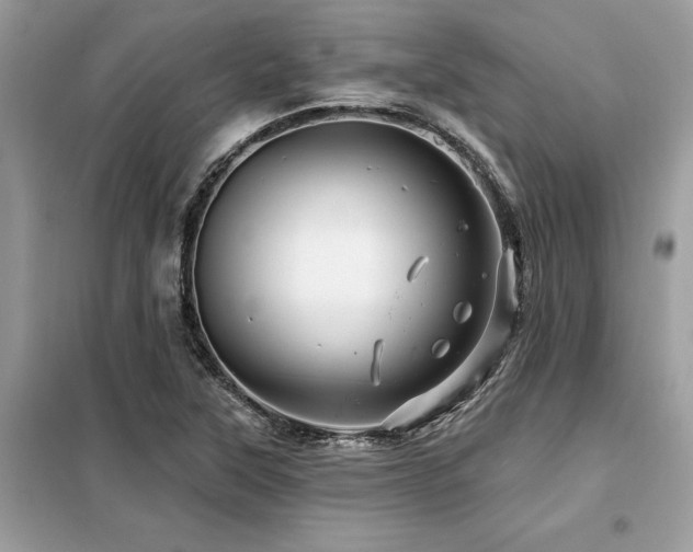 X0000099421315200805091234