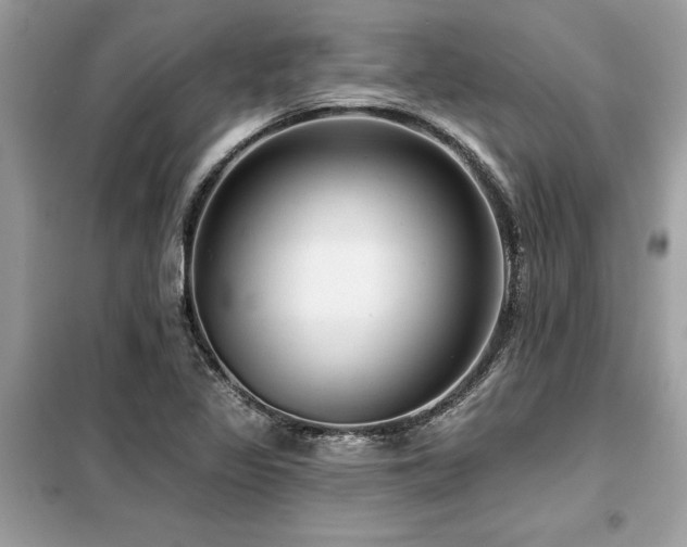 X0000099421317200805091234