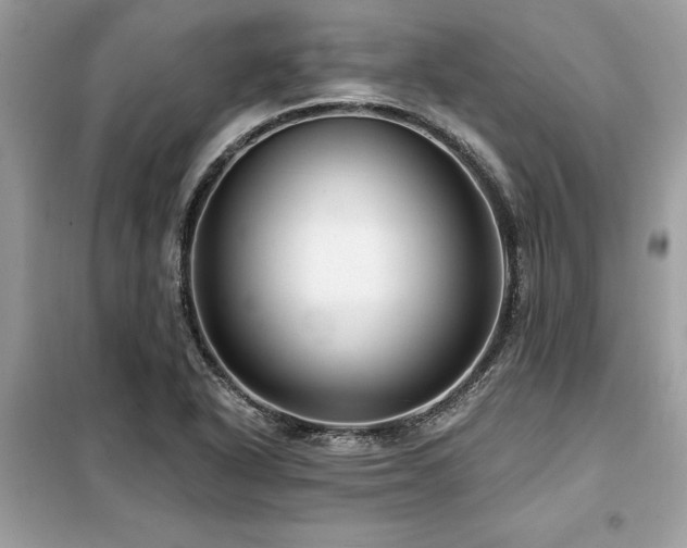 X0000099421318200805091234