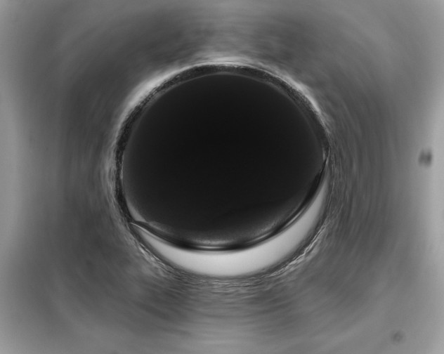 X0000099421319200805091234