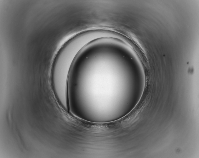 X0000099421320200805091234