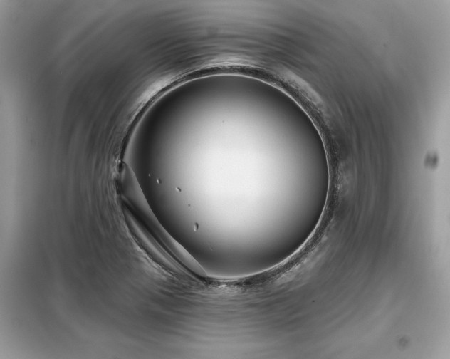 X0000099421321200805091234