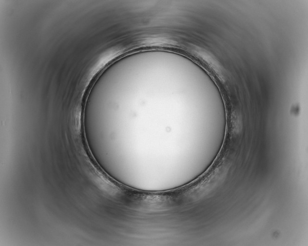 X0000099421322200805091234