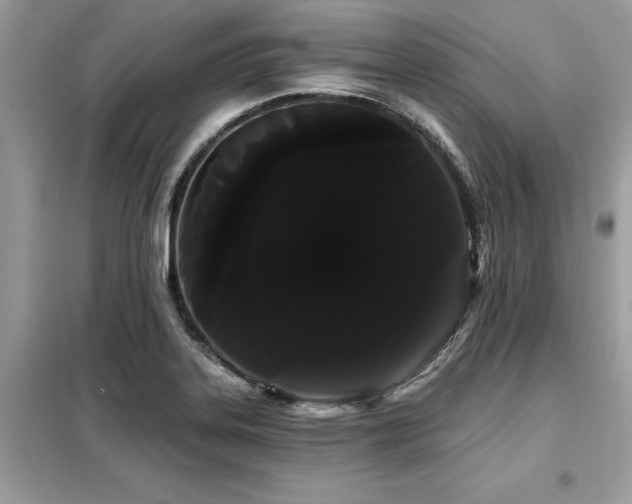 X0000099421323200805091234