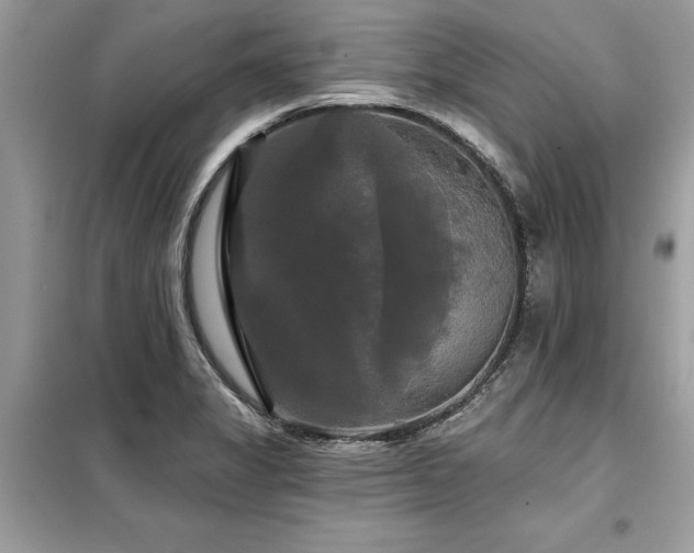 X0000099421325200805091234