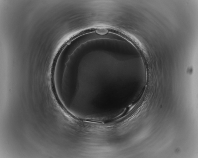 X0000099421327200805091234