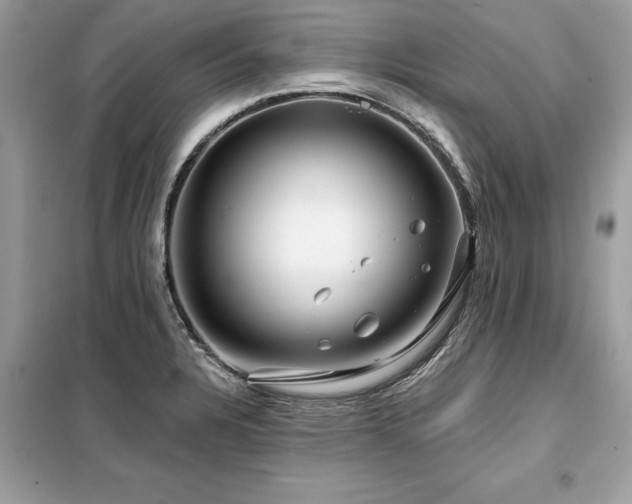X0000099421328200805091234