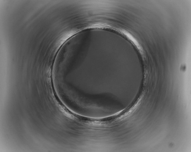 X0000099421329200805091234
