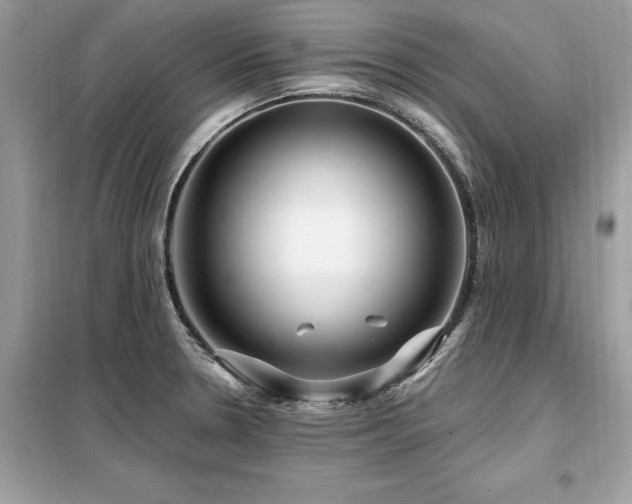 X0000099421330200805091234